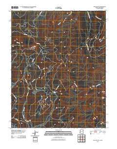 Roof Butte 2010 topographic map thumbnail