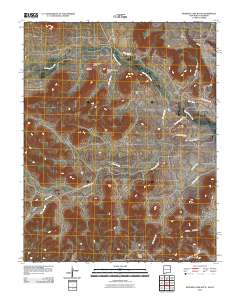 Wedding Cake Butte 2010 topographic map thumbnail