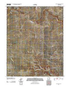 Tate School 2010 topographic map thumbnail