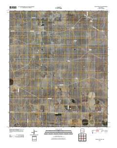 Tatum South 2010 topographic map thumbnail