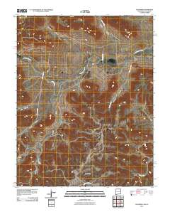 Tub Spring 2010 topographic map thumbnail