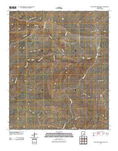 Sixteenmile Draw West 2010 topographic map thumbnail