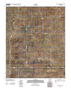 Turkey Ridge NE 2010 topographic map thumbnail