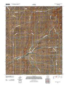 Wilson Ranch 2010 topographic map thumbnail