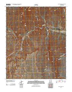 Silver Creek 2010 topographic map thumbnail