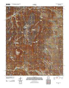 Wiley Mesa 2010 topographic map thumbnail