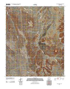 Goat Spring 2010 topographic map thumbnail