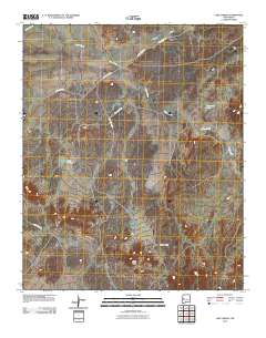 Lake Armijo 2010 topographic map thumbnail