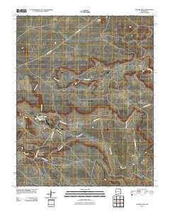 Snyder Lake 2010 topographic map thumbnail