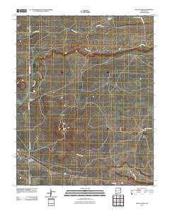 Mount Dora 2010 topographic map thumbnail