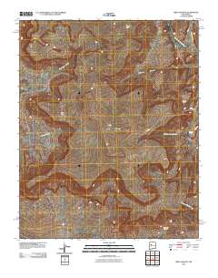 Mesa Gigante 2010 topographic map thumbnail