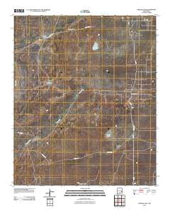 Presler Lake 2010 topographic map thumbnail