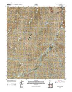 Sulphur Spring 2010 topographic map thumbnail