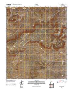 Tapia Ranch 2010 topographic map thumbnail