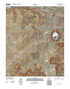 Zuni Salt Lake 2010 topographic map thumbnail