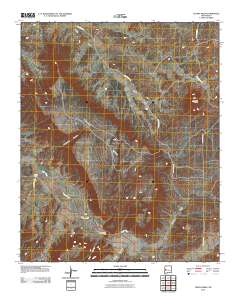 Tejana Mesa 2010 topographic map thumbnail