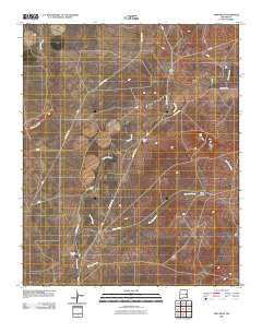 Twin Mesa 2010 topographic map thumbnail