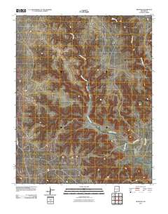 Beenham 2010 topographic map thumbnail