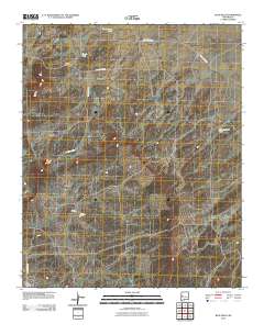 Blue Hills 2010 topographic map thumbnail