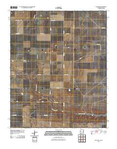 Bellview 2010 topographic map thumbnail
