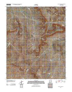 Cactus Tank 2010 topographic map thumbnail