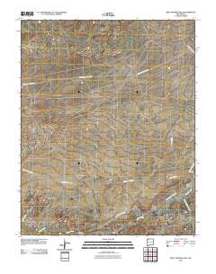Bisti Trading Post 2010 topographic map thumbnail