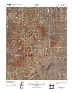 Briscoe Ranch 2010 topographic map thumbnail