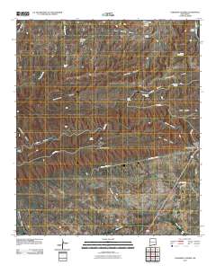 Carlsbad Caverns 2010 topographic map thumbnail