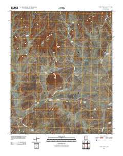 Cerro Prieto 2010 topographic map thumbnail