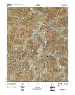 Becenti Lake 2010 topographic map thumbnail