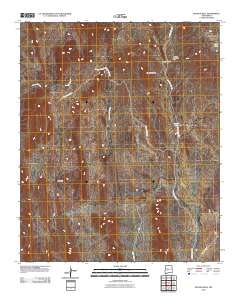 Bustos Well 2010 topographic map thumbnail