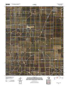 Bledsoe 2010 topographic map thumbnail