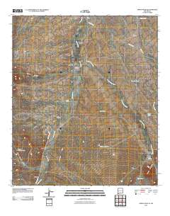 Animas Peak NE 2010 topographic map thumbnail