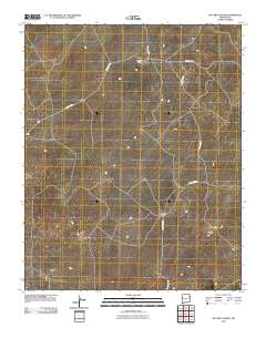 McCarty Ranch 2010 topographic map thumbnail