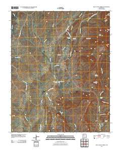 Holy Ghost Spring 2010 topographic map thumbnail