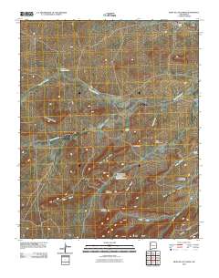 Mesa De Los Toros 2010 topographic map thumbnail
