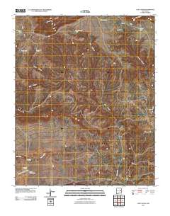 Cow Canyon 2010 topographic map thumbnail