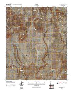 Cow Springs 2010 topographic map thumbnail