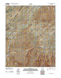 Coyote Canyon 2010 topographic map thumbnail