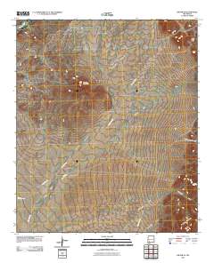 Dwyer SE 2010 topographic map thumbnail