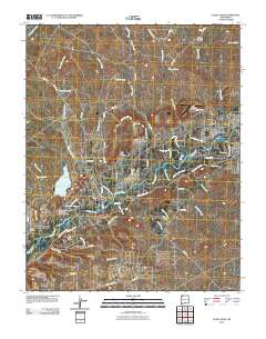 Flora Vista 2010 topographic map thumbnail