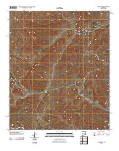 Flying H NE 2010 topographic map thumbnail