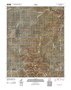 Goat Canyon 2010 topographic map thumbnail