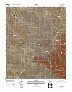 Fence Canyon 2010 topographic map thumbnail
