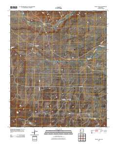 Fence Lake 2010 topographic map thumbnail