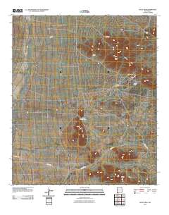 Doyle Peak 2010 topographic map thumbnail