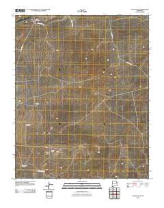 Gallegos NE 2010 topographic map thumbnail