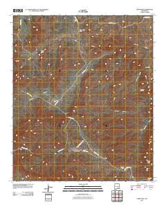 Lewis Peak 2010 topographic map thumbnail