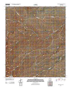 Lewis Peak NE 2010 topographic map thumbnail