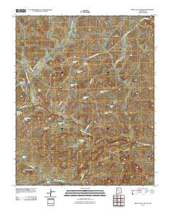 Mesita Del Gavilan 2010 topographic map thumbnail